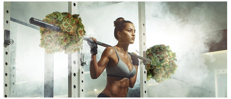Does CBD help with fitness