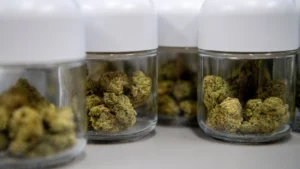 Store CBD Oil