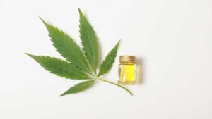 Cheap vs Premium CBD Oil in Kansas What’s Worth It